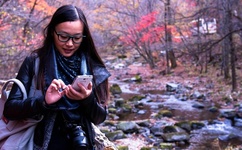 国产精品人妻无码免费久久久